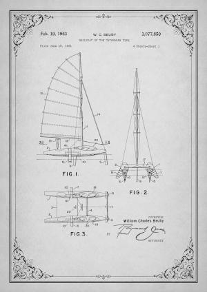 brevet catamaran